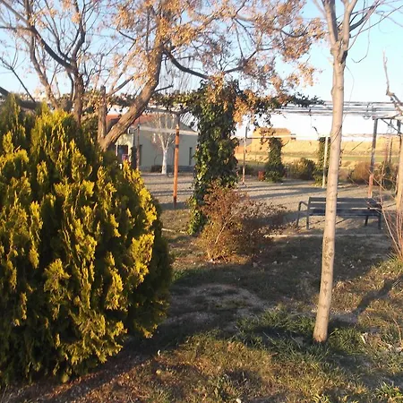 Albergue Cetina بيت شباب